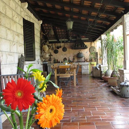 Guest House Maria Bilicic 2 Dubrovnik Ngoại thất bức ảnh