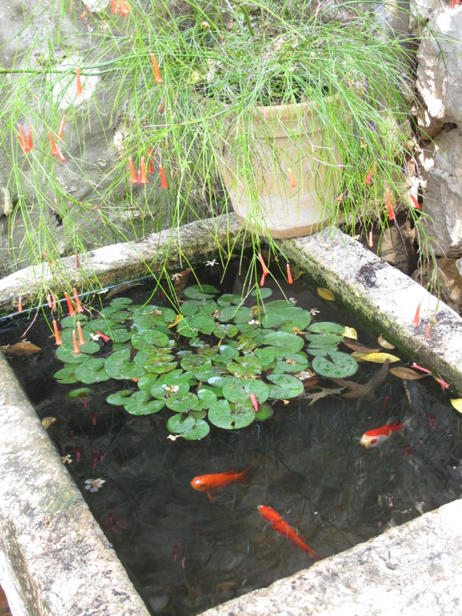 Guest House Maria Bilicic 2 Dubrovnik Ngoại thất bức ảnh